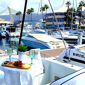  Botel Barco Pita - Amarilla Marina