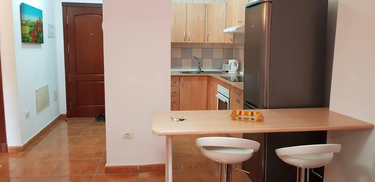Aguamarina 430 Apartment San Miguel de Abona Spain